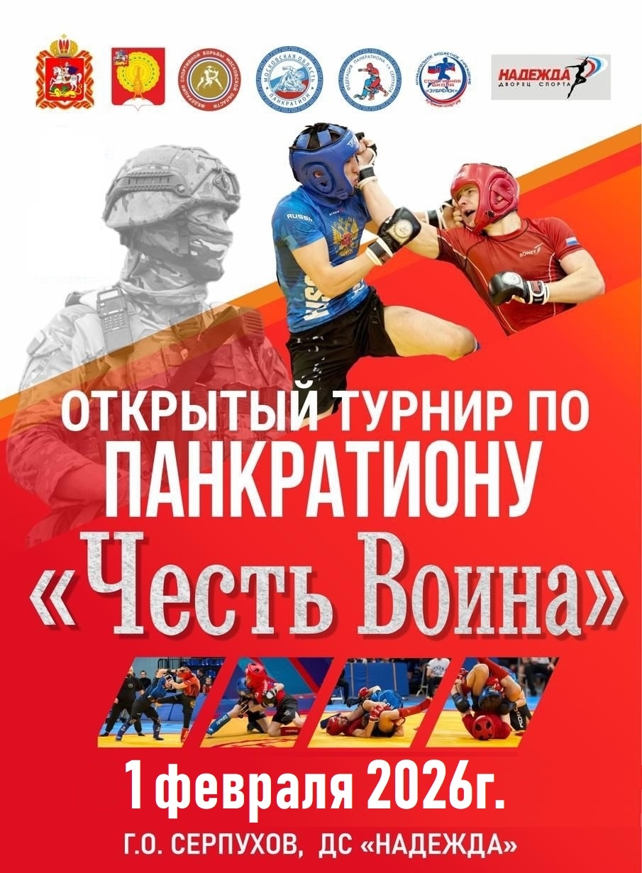 Fight of two wrestlers